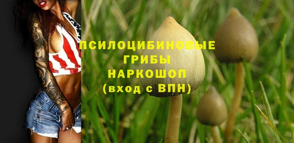 прущий лед Кинешма