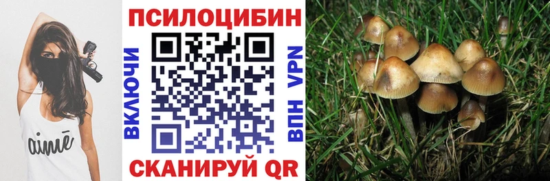 Купить закладки  Ивангород  Галлюциногенные грибы Psilocybine cubensis 